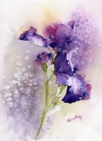 /album/quathy/quathy-quathy-aquarelle-iris-mauve-jpg-439x600-jpg/